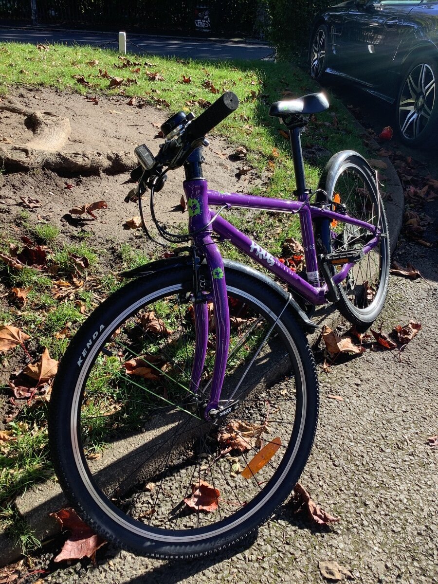 Frog cheap bike purple